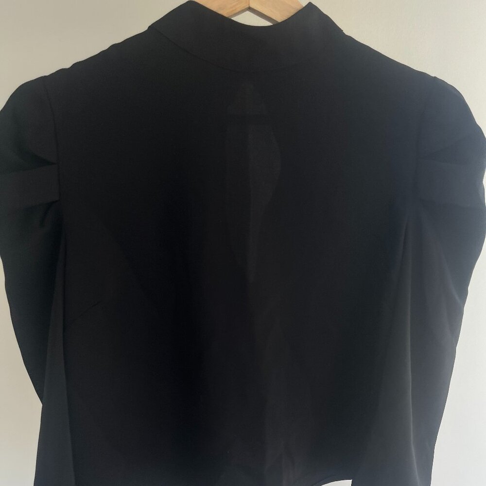 Aritzia Babaton Black 3/4 Sleeve High Neck Blouse